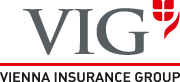 logo_vig_new.jpg